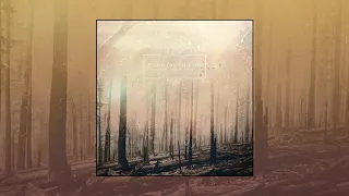 If These Trees Could Talk – Red Forest [Full Album]