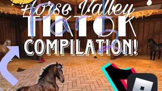 Horse valley TikTok compilation pt 2!
