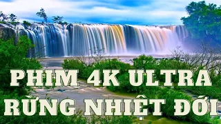 Test Màn Hình 4K Ultra HD I Phim 4K Rừng Nhiệt Đới I Tin Học Trần Phú #004