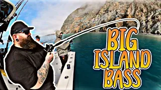 ISLAND TIME | Catalina Island White Sea Bass and Calico Bass and more