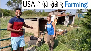 अमेरिकन Farm पे ऐसी होती है life| A day spent on farm in USA 🇺🇸 Chickens, Goats, etc. | IndiaVlogger