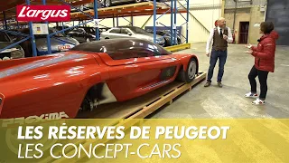 Les concepts des réserves du musée Peugeot