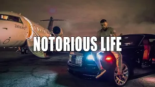 Conor McGregor - Notorious Life (HD)