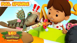 Catch that Mudskipper! | Full Episode | Leo the Wildlife Ranger | Kids Cartoons