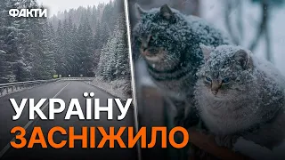 ПЕРШИЙ СНІГ випав в УКРАЇНІ: мороз, ожеледиця та сильні буревії