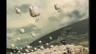 PINK FLOYD Sheep (film clips and lyrics)