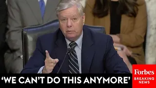 BREAKING NEWS: Lindsey Graham Reveals He May Soon Introduce Bill 'To Repeal Section 230'