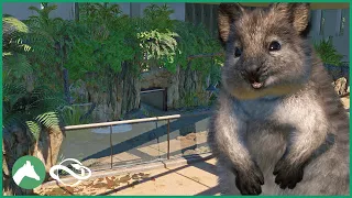 Quokka Indoor & Outdoor Habitat | Elm Hill City Zoo | Planet Zoo