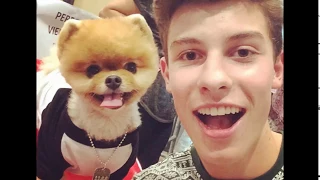 Shawn Mendes Funny Moments 2018 shawn mendes amazing moment