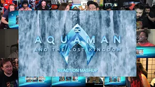 Aquaman And The Lost Kingdom Official Trailer Reaction Mashup #trending #movie