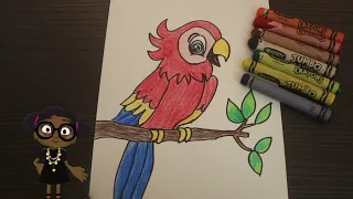 Learn About A Parrot Before We Start Drawing | Easy Drawing | Parrot Drawing | Cute Parrot