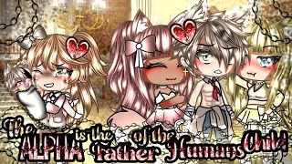 🐺The ALPHA is the Father of the HUMANS Child?!💔GLMM original Gacha life