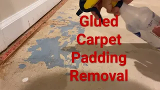 [Quick How-to] Remove glued carpet padding (underlayment) from concrete floor