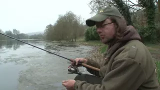 Perch On The Waggler - (Martin Bowler)