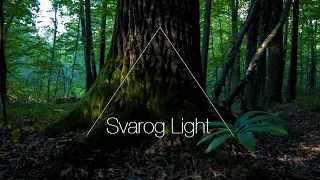 Svarog Light -  Роздуми  61/ Сила слова