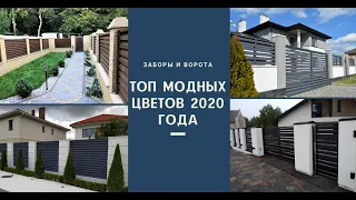 ТОП модных цветов ограждении в 2020 году!