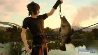 FINAL FANTASY XV Fishing