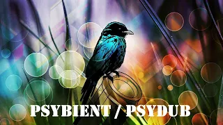 New PsyDub mix / PsyBient / Amazing Ethnic Music / Psychedelic House / Deep House / Electronic