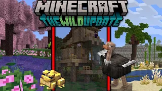 JAK POWINNY WYGLĄDAĆ BIOMY W MINECRAFT 1.19! PROPOZYCJE I TEORIE!