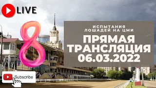 06.03.2022. Прямая трансляция с ЦМИ. Начало весны.