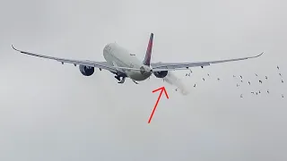 (4K) BIRDSTRIKE during take-off! Delta A330-900 departing from Amsterdam airport Schiphol