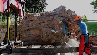 Sawing a Part of the Biggest Sugar Maple in NY | Sawmill