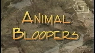 Animal Bloopers with Jack Hanna (1994) (VHS)