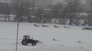 Московский ипподром. Бега. 12.02.17. Заезд 10(66)