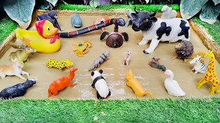 Discovering the Amazing Farm and Forest Animals From Mud | Kids Activities in Mud