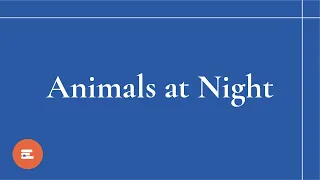 Learn English via Story 🇬🇧 📚 Animals at Night (A1 Level)