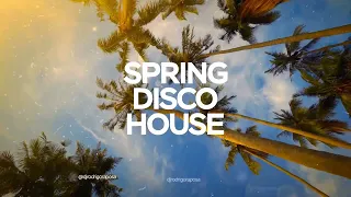 SPRING DISCO HOUSE 2023 by DJ RODRIGO RAPOSA (Brazil)