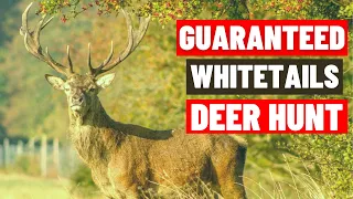 Guaranteed Trophy Whitetail Deer Hunts At World Class Whitetails of Ohio | Guaranteed Deer Hunt