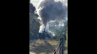 Steam Loco 6029  - working hard uphill #steamlocomotive #trains