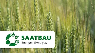 BIO-Getreideproduktion – Herbstkulturen im Fokus | SAATBAU ACKERdemie Webinar