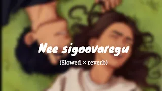Nee Sigoovaregu | (slowed × reverb) | Bhajarangi 2 | Tunes and chills