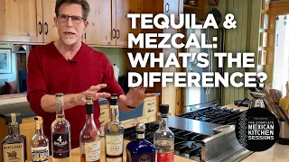 Tequila and Mezcal: What's the Difference?