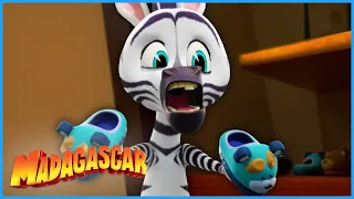 The Case of The Stolen Slippers | DreamWorks Madagascar