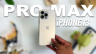 iPhone 13 Pro Max Review: 3 Months Later!