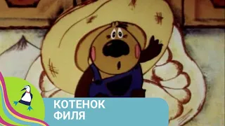 🏝 ЛИРИЧЕСКАЯ СКАЗКА, КАК ПАРЕНЬ ВЛЮБИЛСЯ В КРАСАВИЦУ 🏝 Котенок Филя🐾Фильм в HD. STARMEDIAKIDS