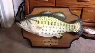 lakewi44's singing fish collection update
