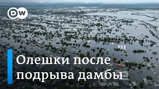 Катастрофа на Каховской ГЭС: страшные воспоминания жителей города Олешки