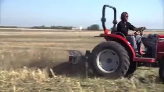 Weed Control with a Rotary Hoe