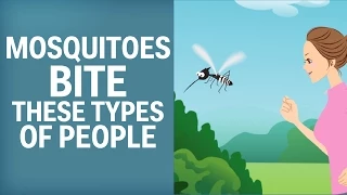 Mosquitoes Like To Bite These Types Of People