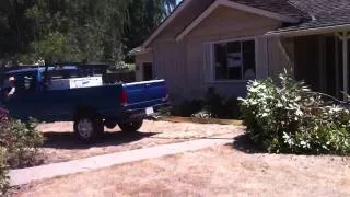 Ford F250 pulls out tree