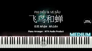 飞鸟和蝉 - 任然 - Birds and Cicada - Phi Điều & Ve Sầu Piano Tutorial