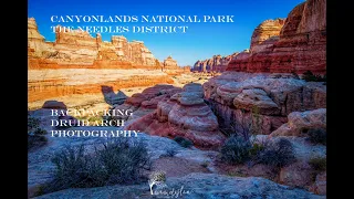 Canyonlands National Park, Utah- Needles District, Backpacking, Druid Arch, 2 Utah Hikers