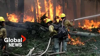 US, Mexican crews helping BC firefighters: “We're really being put to the test”