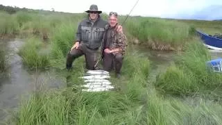 Wildlachs fischen in Alaska