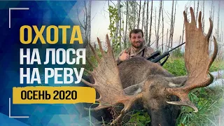 Трейлер охота на лося на реву в Беларуси 2020