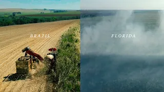 Brazil Shows You Can Harvest Sugar Cane Without Polluting the Air